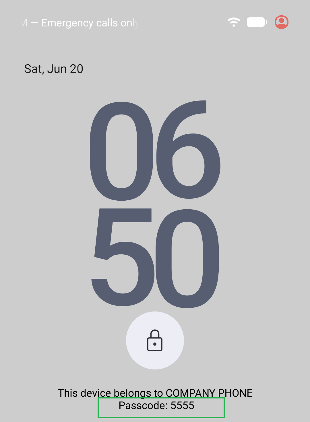 Lock screen decoy text